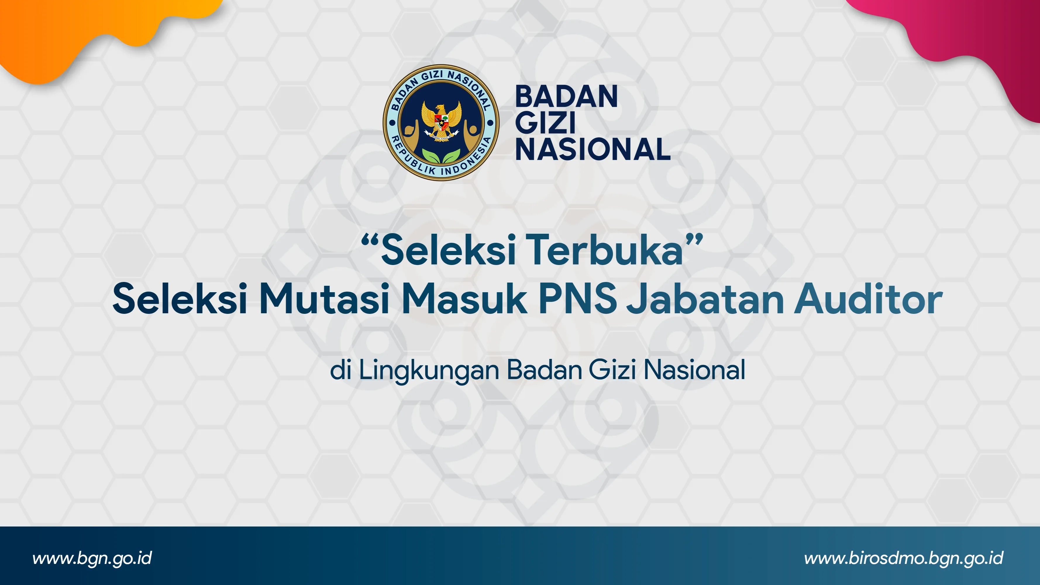 Seleksi Terbuka - Seleksi Mutasi Masuk PNS Jabatan Auditor di Lingkungan Badan Gizi Nasional Simeulue